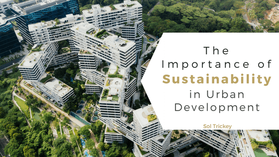 Sol Trickey - Sustainability and Urban Development